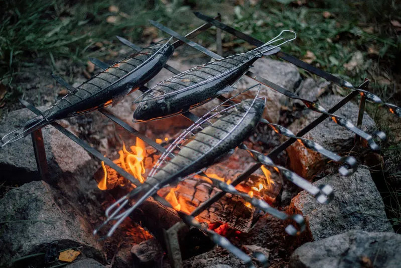 Campfire outdoor cooking